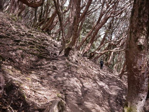 трек к базовому лагерю аннапурны, Непал