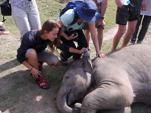 трек к базовому лагерю аннапурны, Непал