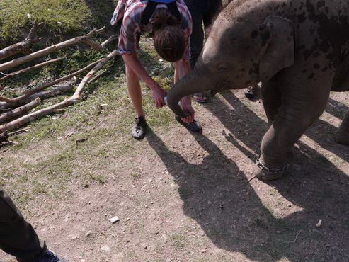 трек к базовому лагерю аннапурны, Непал