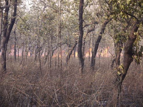 трек к базовому лагерю аннапурны, Непал