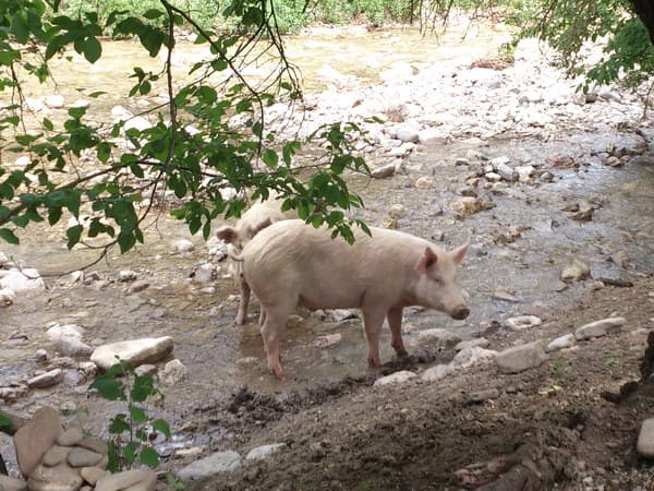 поход по Крыму с детьми Рыбачье-Новый Свет