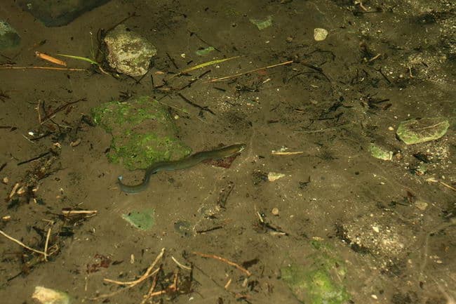 поход по Кипру