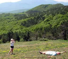 Паша на земле