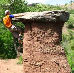 Каменные грибы