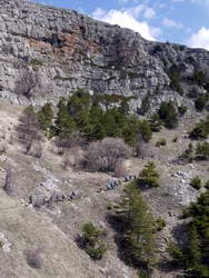 тропа седых волос