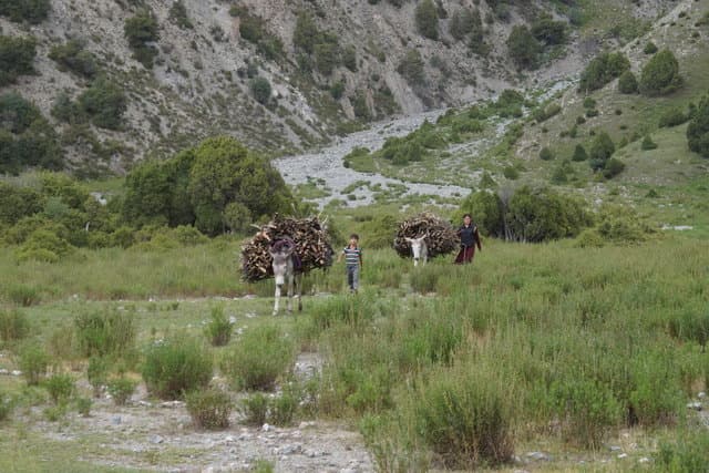 Поход по Фанским горам