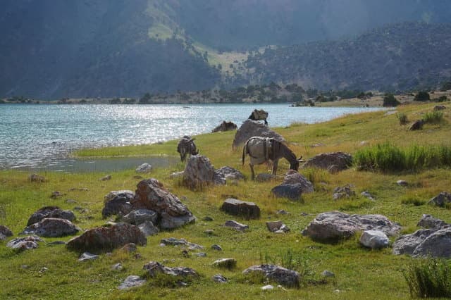 Поход по Фанским горам