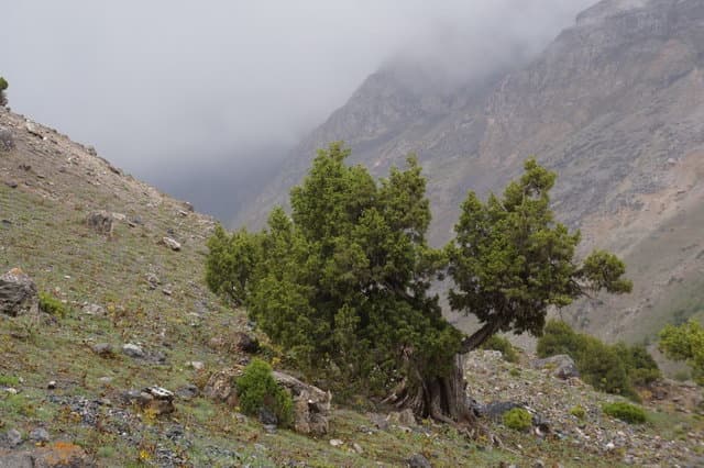 Поход по Фанским горам