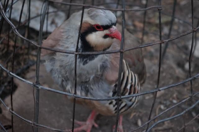 Поход по Фанским горам
