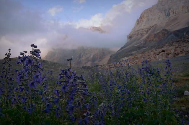 Поход по Фанским горам