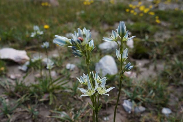 Поход по Фанским горам