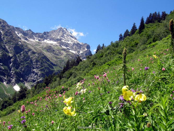 поход по Грузии-Верхняя Сванетия