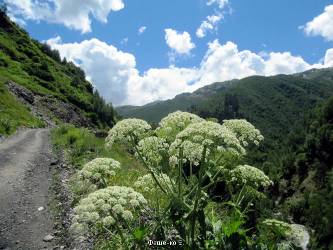 поход по Грузии-Верхняя Сванетия
