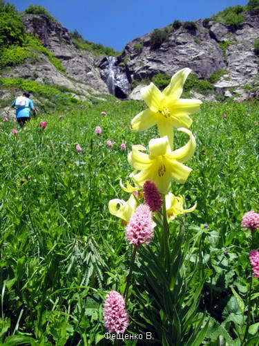 поход по Грузии-Верхняя Сванетия