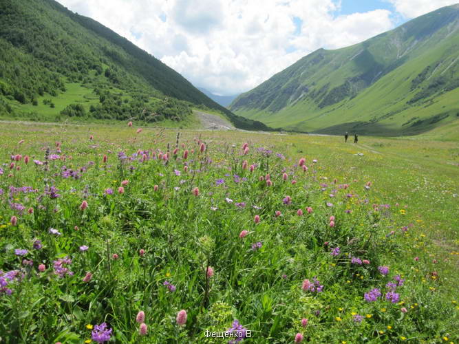 поход по Грузии-Верхняя Сванетия
