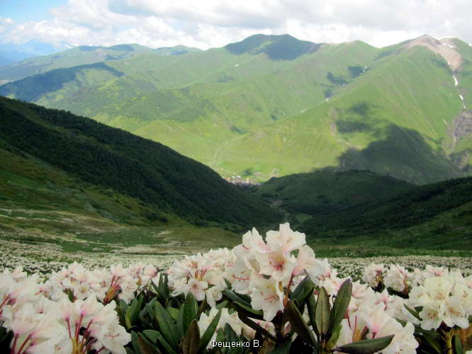 поход по Грузии-Верхняя Сванетия