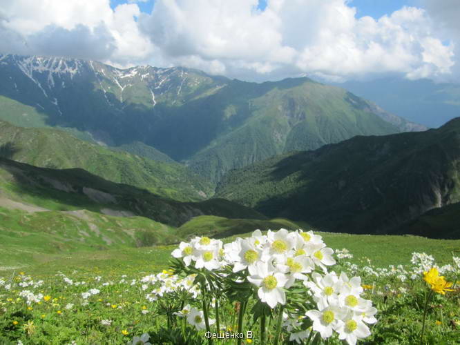 поход по Грузии-Верхняя Сванетия