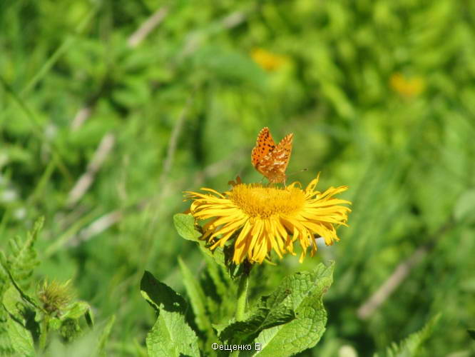 поход по Грузии-Верхняя Сванетия