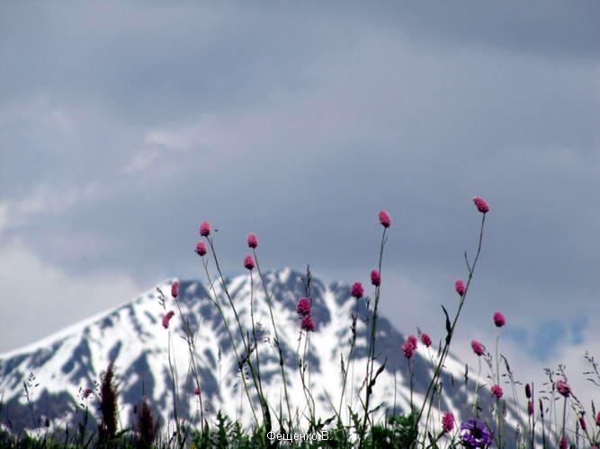 поход по Грузии-Верхняя Сванетия