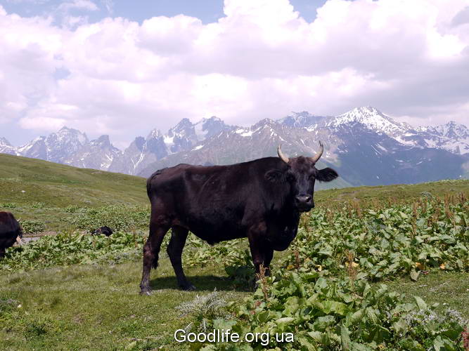 поход по Грузии-Верхняя Свенетия