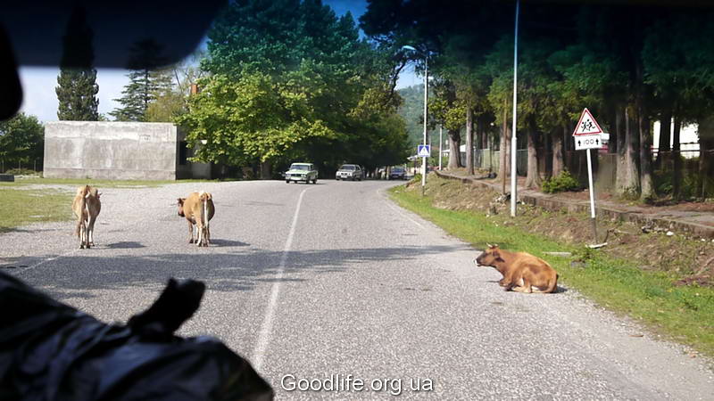 поход по Грузии-Верхняя Свенетия