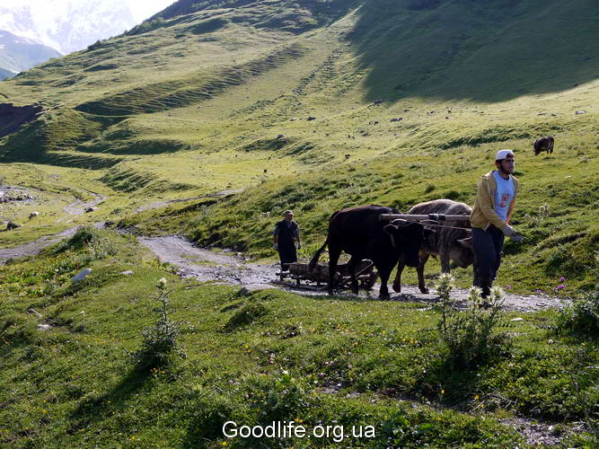 поход по Грузии-Верхняя Свенетия