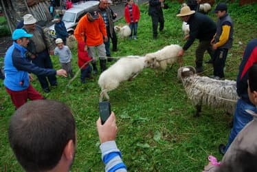 Верхняя Сванетия