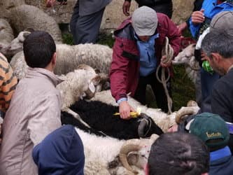 Верхняя Сванетия