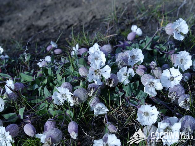 Отзыв о походе по Исландии