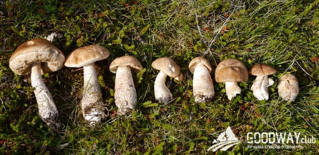 Отзыв о походе по Исландии