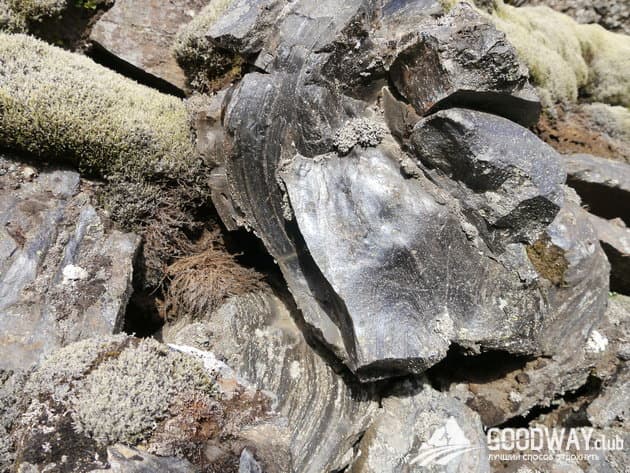 Отзыв о походе по Исландии