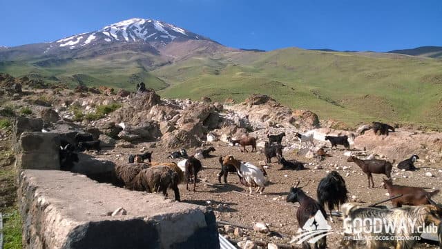 Отзыв о походе по Ирану в июле 2018г