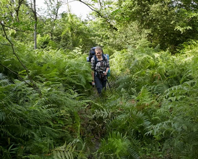 Отзыв о походе по Ирану и восхождении на Демавенд