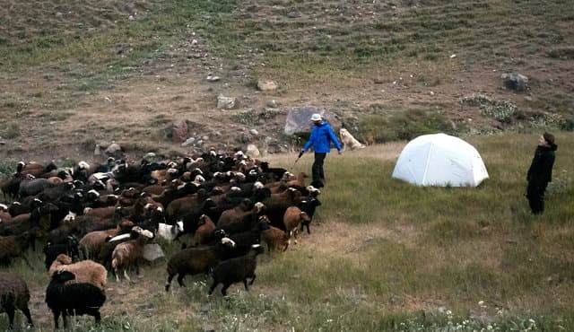 Отзыв о походе по Ирану и восхождении на Демавенд