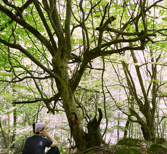 Отзыв о походе по Ирану и восхождении на Демавенд