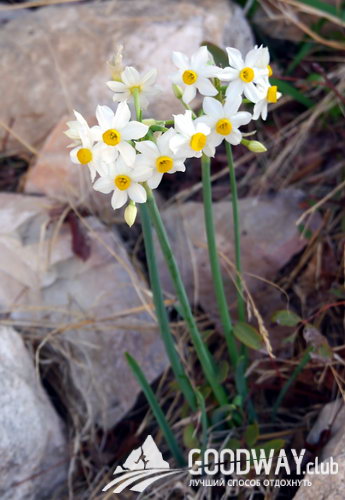 Поход по Израилю