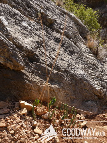 Поход по Израилю