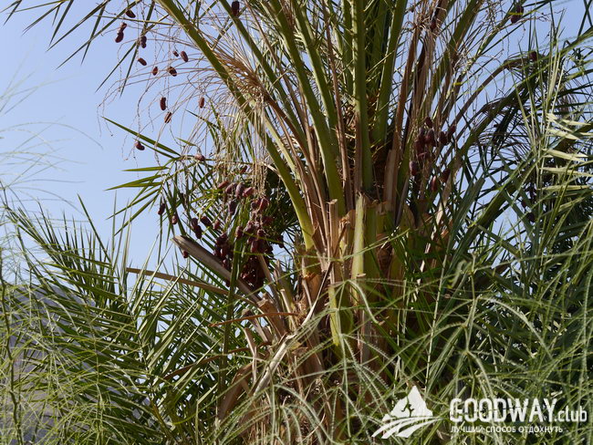 Поход по Израилю