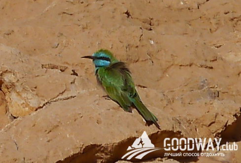 Поход по Израилю