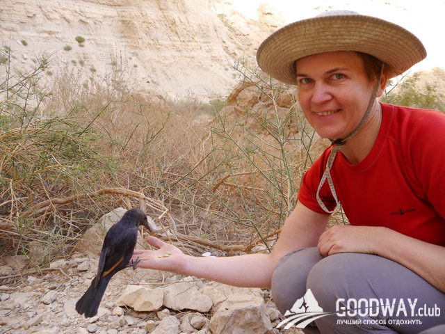 Поход по Израилю