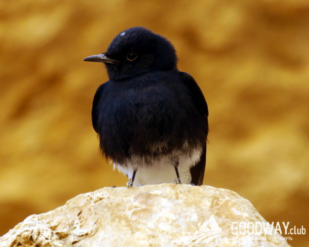 Поход по Израилю