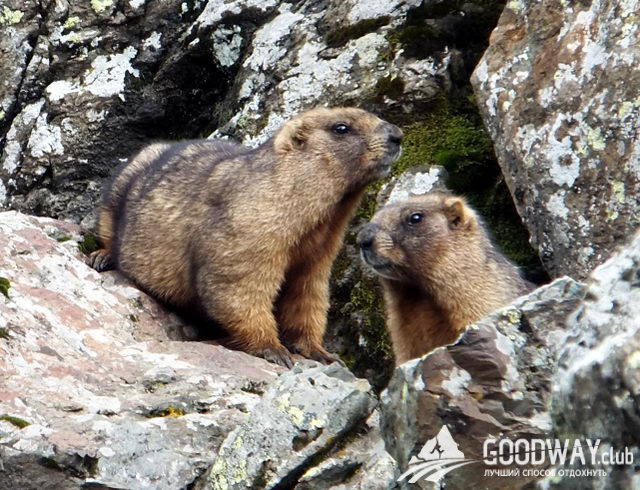 Поход по Тянь-Шаню