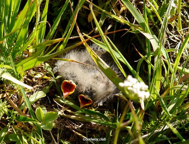 Поход в Турции по Качкару