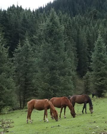поход в Киргизии по Тянь-Шаню