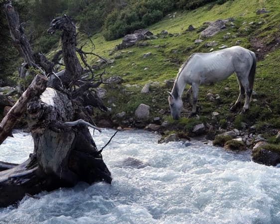 поход в Киргизии по Тянь-Шаню