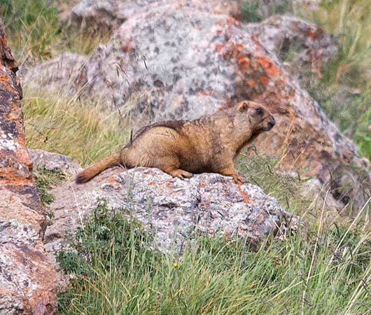 поход в Киргизии по Тянь-Шаню