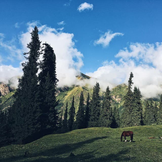 Отзыв о походе по Тянь-Шаню, Киргизия