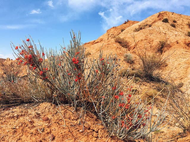 Отзыв о походе по Тянь-Шаню, Киргизия