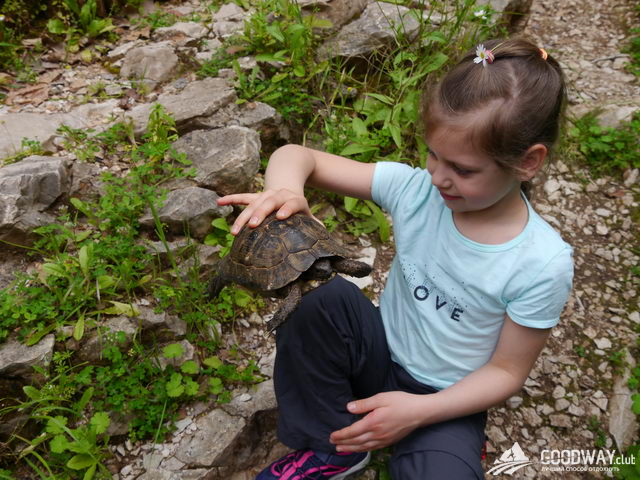  Отзыв о походе по Ликийской тропе с ночёвками в отелях