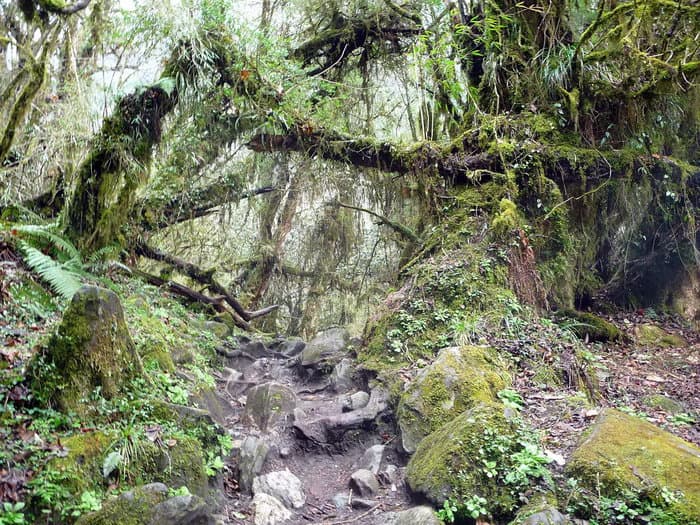 трек к базовому лагерю Аннапурны (ABC)